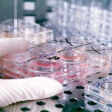 London 2 Brighton Challenge 2014